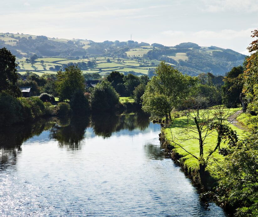 conwy nature reserve